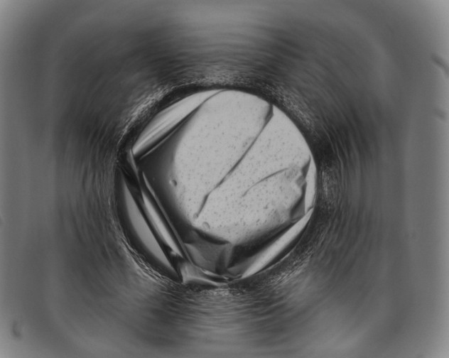 X0000097850588200804041508