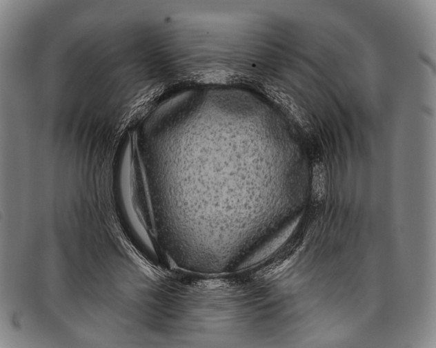 X0000097850589200804041508