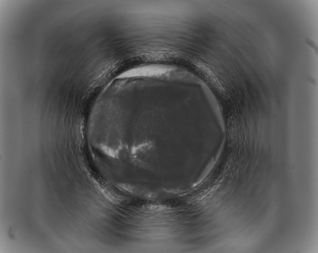 X0000097850590200804041508