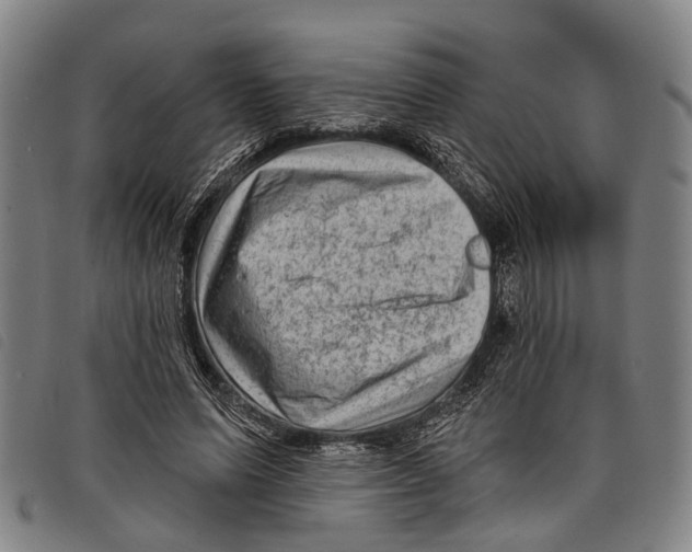 X0000097850591200804041508