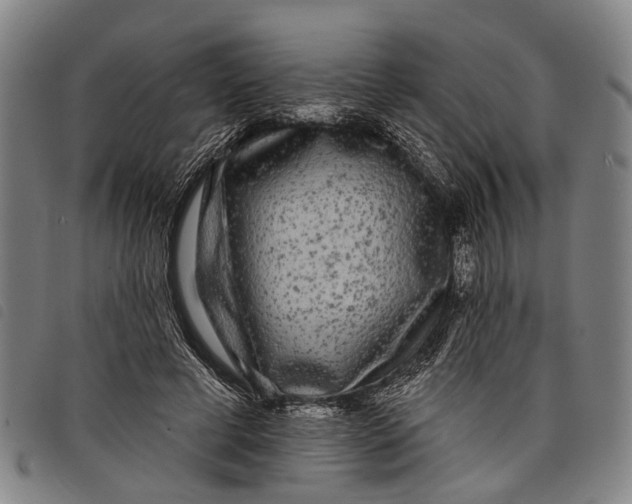 X0000097850593200804041508