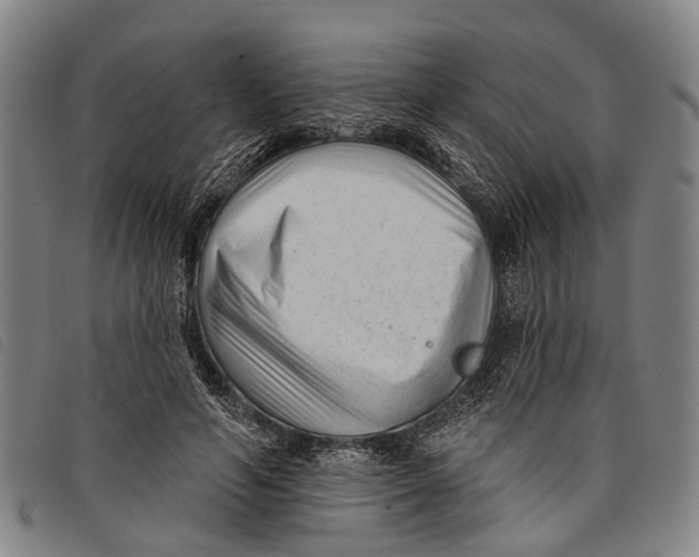 X0000097850594200804041508