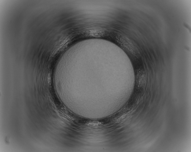 X0000097850595200804041508