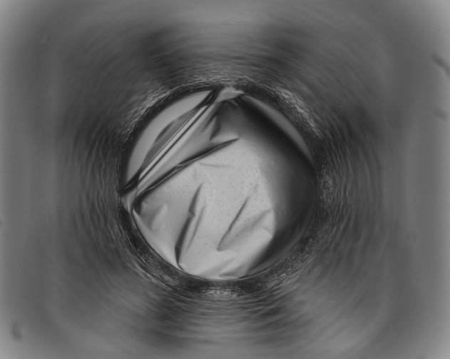 X0000097850596200804041508