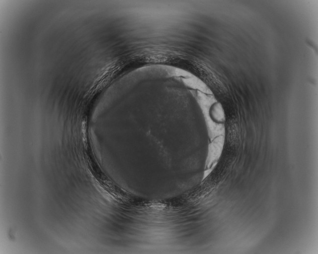 X0000097850598200804041508