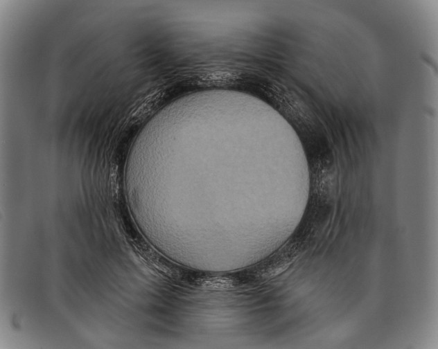 X0000097850599200804041508