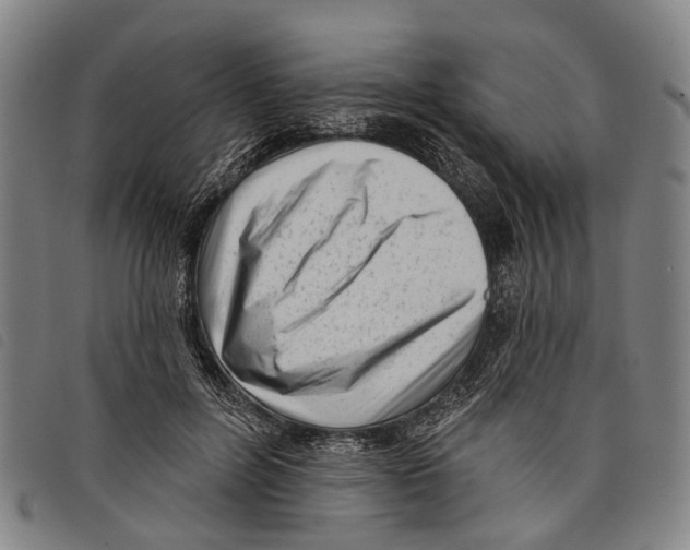 X0000097850600200804041508