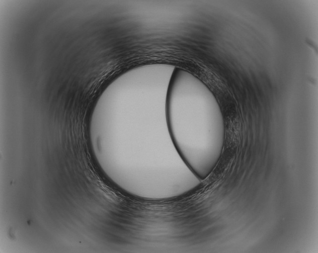 X0000097850601200804041508