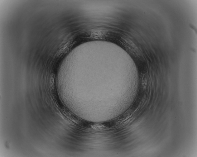 X0000097850603200804041508