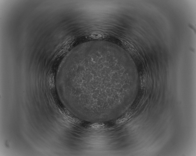 X0000097850606200804041508