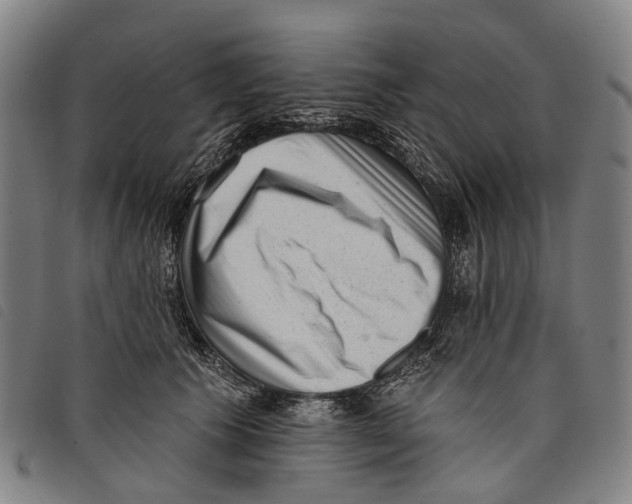 X0000097850609200804041508