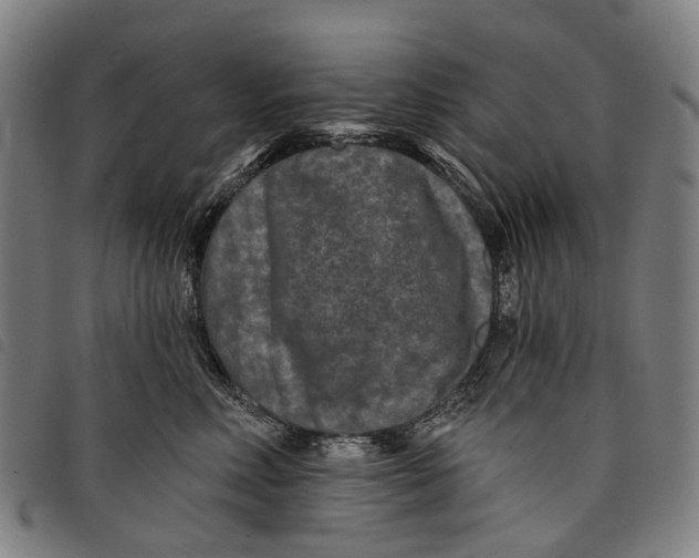 X0000097850618200804041508