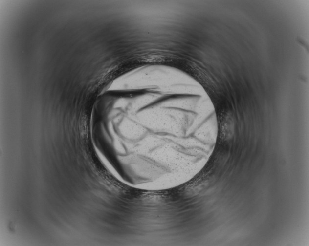 X0000097850620200804041508