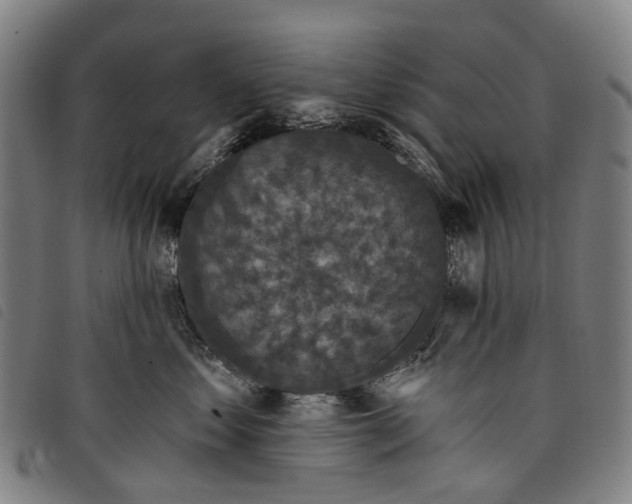 X0000097850621200804041508