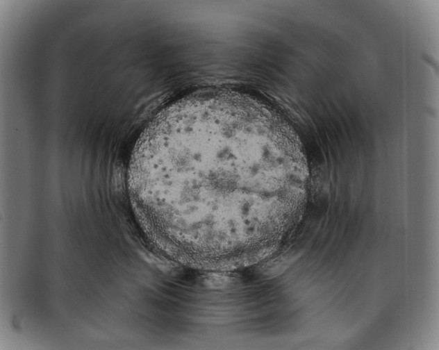 X0000097850623200804041508