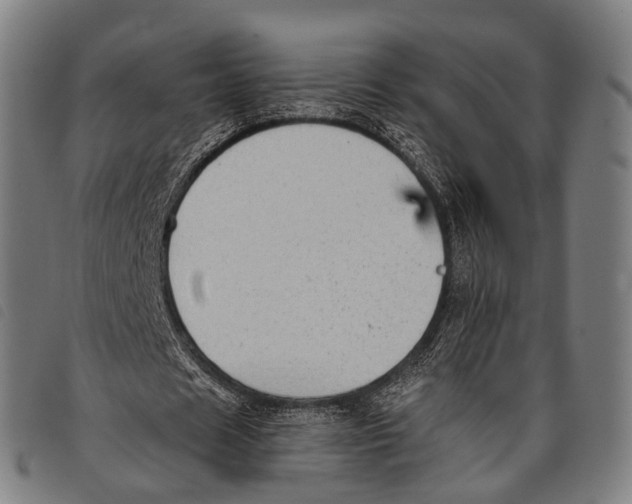 X0000097850625200804041507