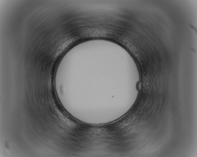 X0000097850629200804041507