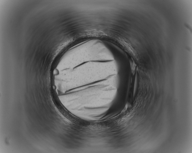 X0000097850630200804041507