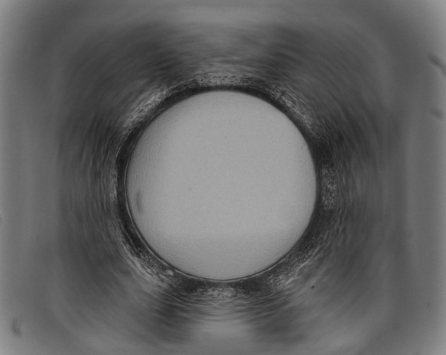 X0000097850631200804041507