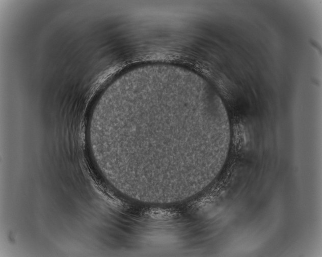 X0000097850632200804041507