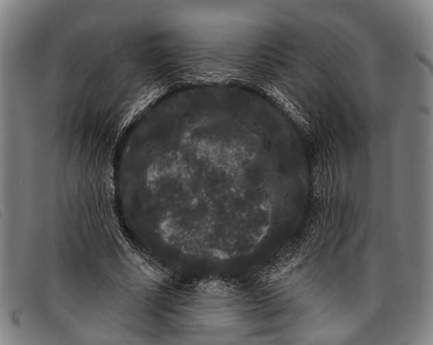 X0000097850634200804041507