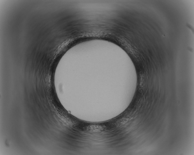 X0000097850636200804041507