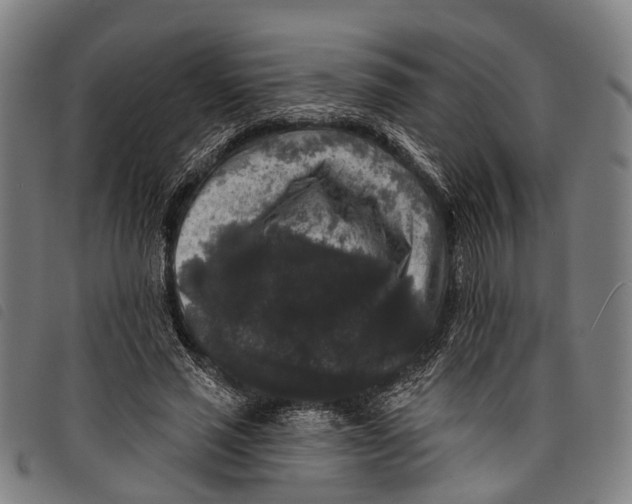 X0000097850637200804041507