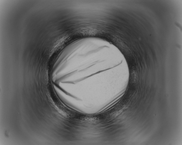 X0000097850638200804041507