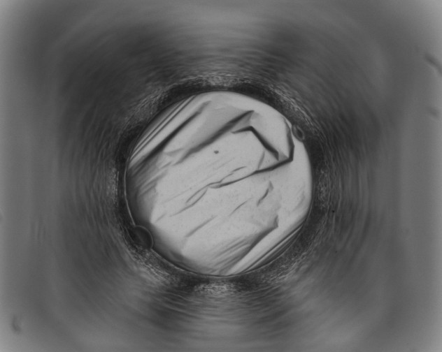 X0000097850639200804041507