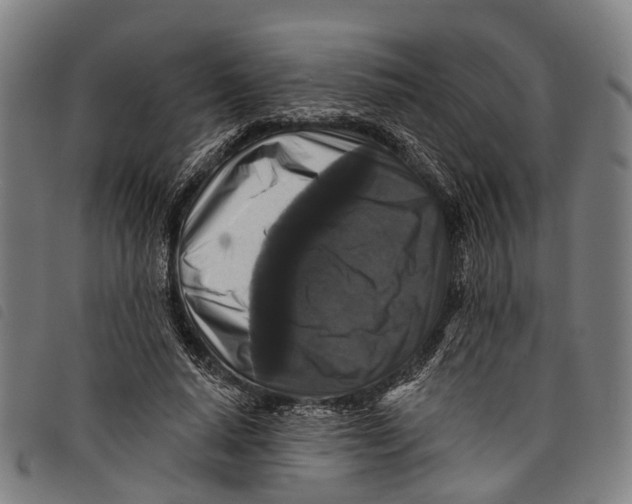 X0000097850640200804041507