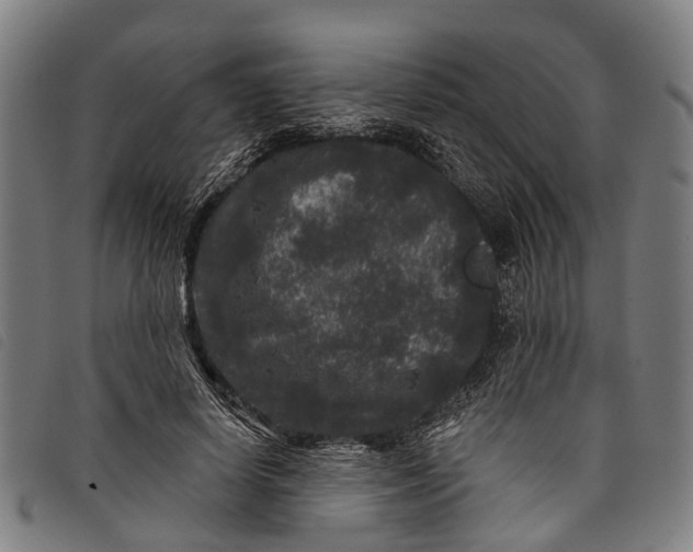 X0000097850642200804041507