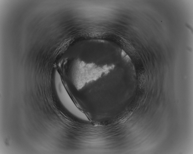 X0000097850644200804041507