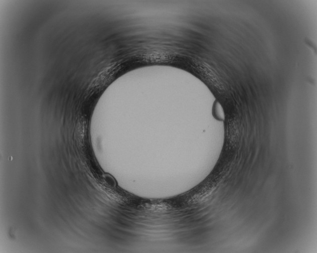 X0000097850645200804041507