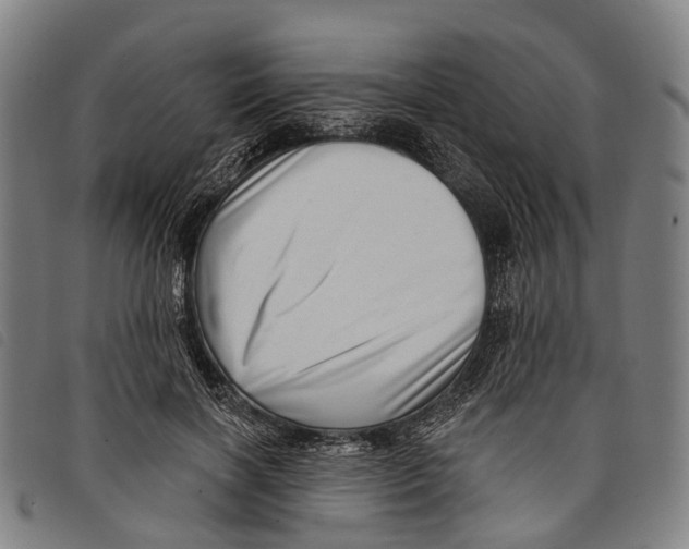 X0000097850646200804041507