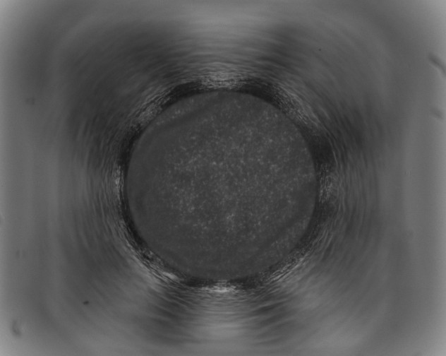 X0000097850647200804041507