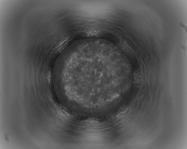 X0000097850648200804041507