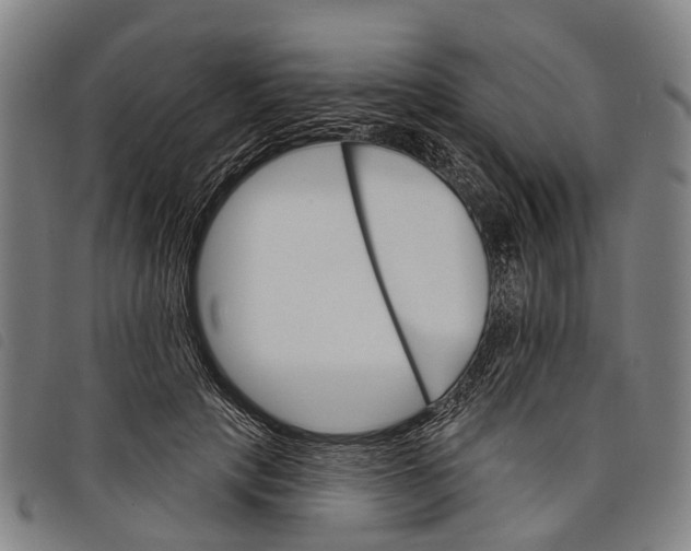 X0000097850649200804041507