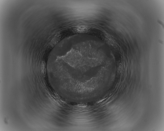 X0000097850651200804041507