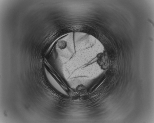 X0000097850652200804041507