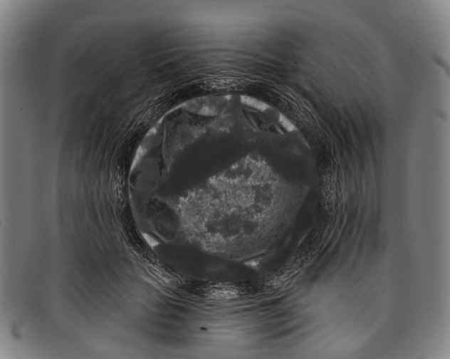 X0000097850653200804041507