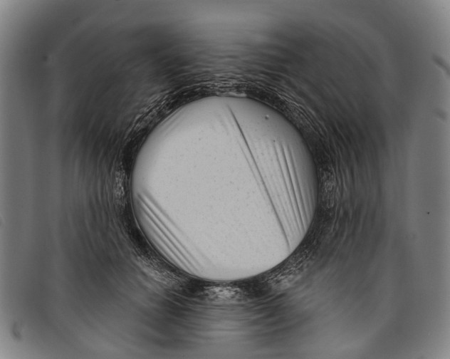 X0000097850654200804041507