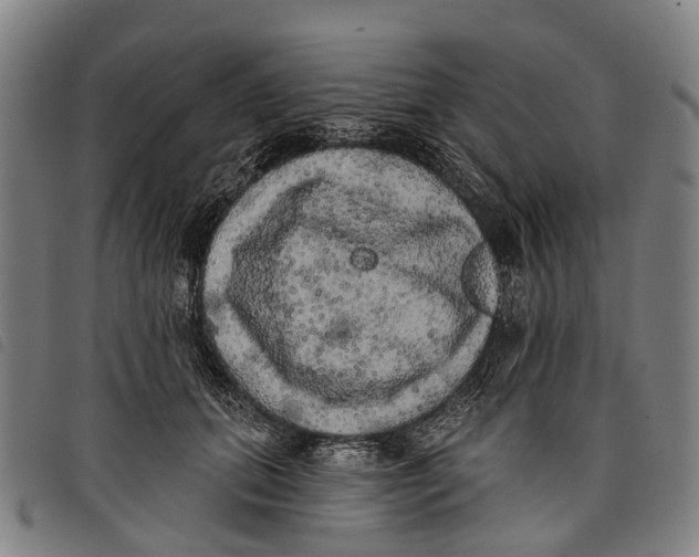 X0000097850655200804041507