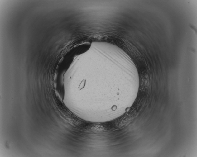 X0000097850656200804041507