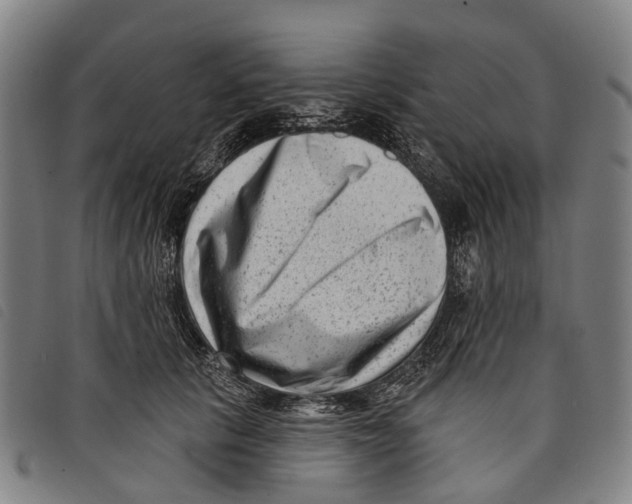 X0000097850657200804041507