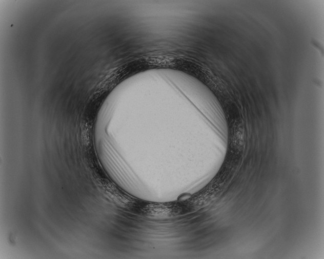 X0000097850658200804041507