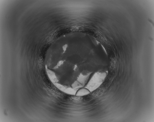 X0000097850659200804041507