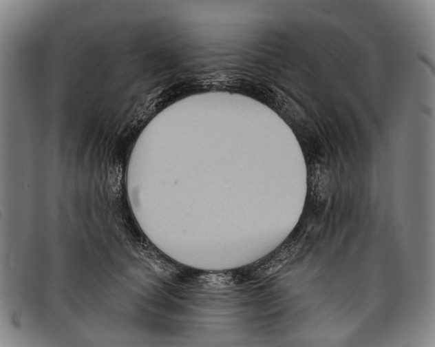 X0000097850660200804041507