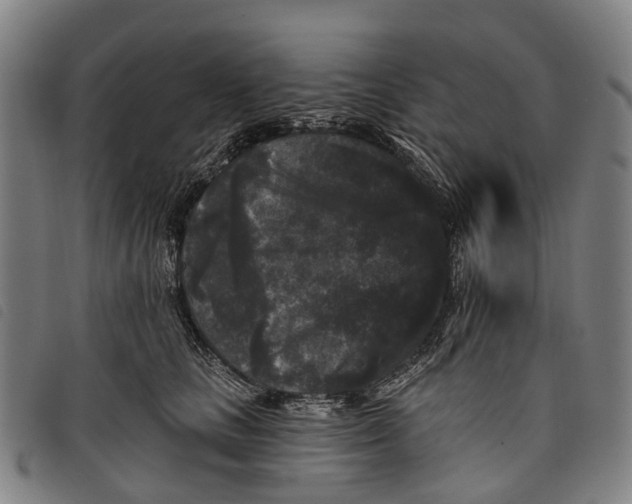 X0000097850661200804041507