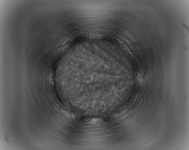 X0000097850663200804041507