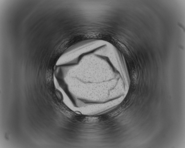 X0000097850665200804041507